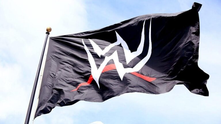 Wwe Flag Logo U.jpg