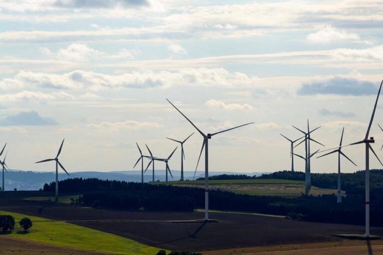 Germany Election Wind Power Afd.jpeg